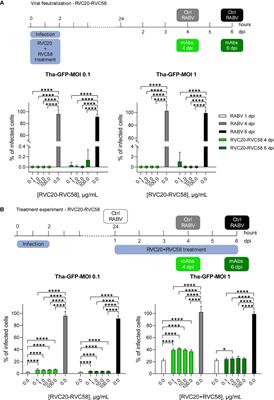 Antiviral mechanisms of two broad-spectrum monoclonal antibodies for rabies prophylaxis and therapy